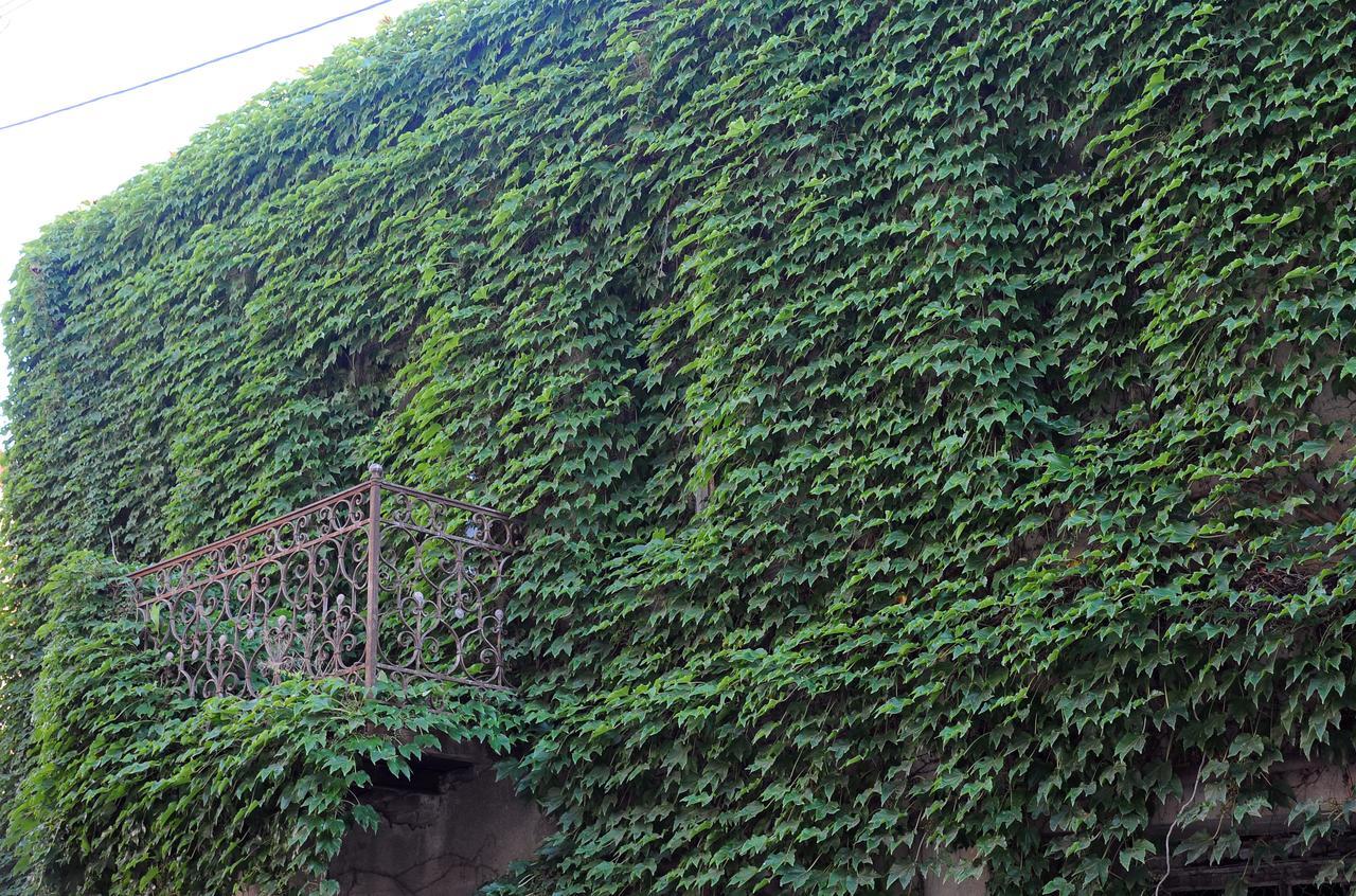 Old Walls 1 Tbilisi Exteriör bild